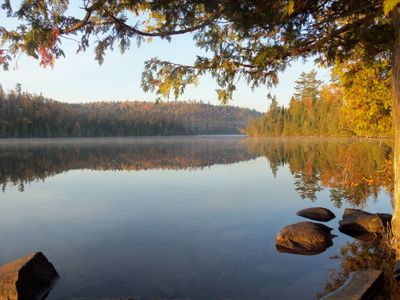 White horses of Clearwater Lake