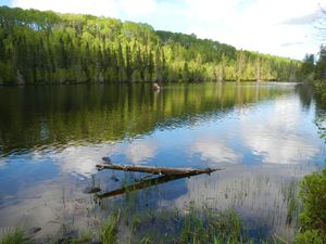 East Bearskin landing