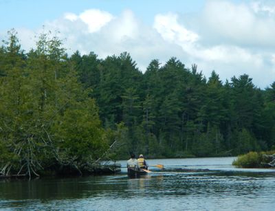 Alder narrows