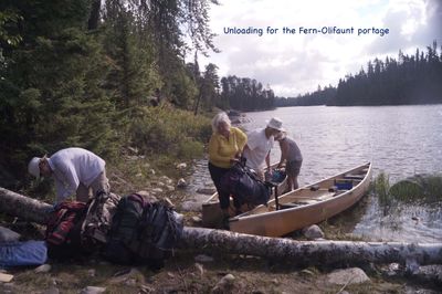 Fern - Olifaunt portage