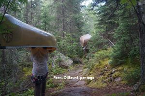 Fern-Olifaunt portage