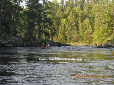 Maligne R. rapids at Shelley L.