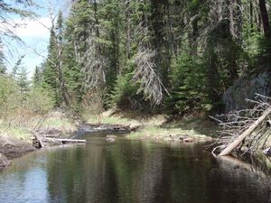 Drumstick Creek to Fire Lake