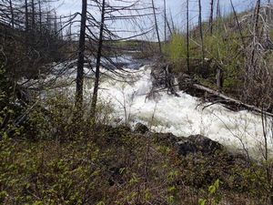 Jasper Lake to Alpine Lake (falls)