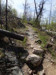 Jasper Lake to Alpine Lake (trail maintenance)