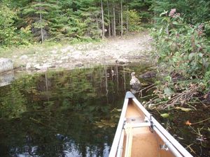 Jitterbug Lake to Adventure Lake