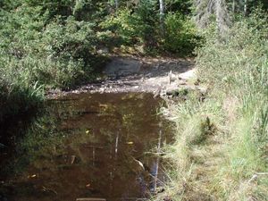 Jitterbug Lake to Ahsub Lake