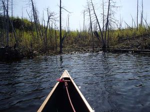 Kingfisher Lake to Jasper Lake