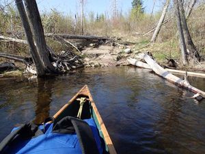 Kingfisher Lake to Ogishkemuncie Lake