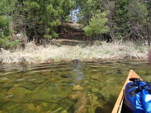 Knife Lake to Ottertrack Lake (east portage)