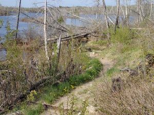 Ogishkemuncie Lake to Kingfisher Lake