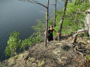 Climbing up