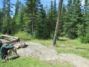 Vera campsite #1243