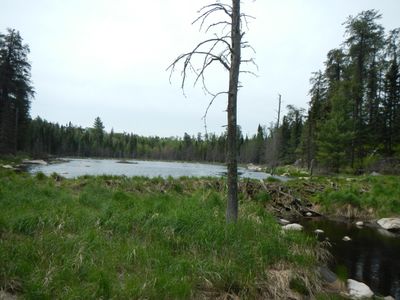 Beaver pond/dam