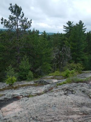 Ol&amp;#39; Baldy overlook