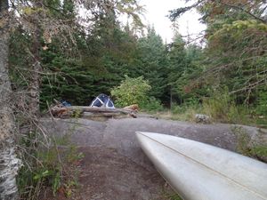 Caribou Campsite