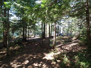 Omega Lake Campsite