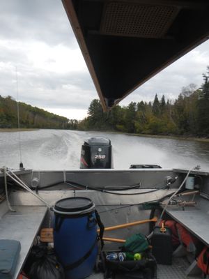 Racing down the Loon River