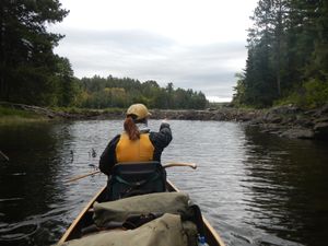 North Lake beaver dam