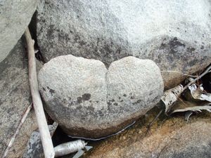 Heart rock