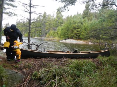 Tesaker beaver dam