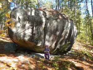 Finger Lake island boulder