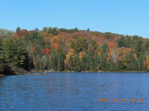 Colorful shore, Canoe Lake