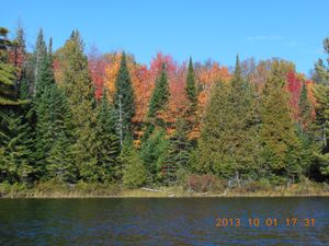 Colorful shore 2, Canoe Lake