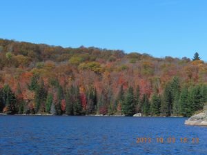 Autumn Color 2