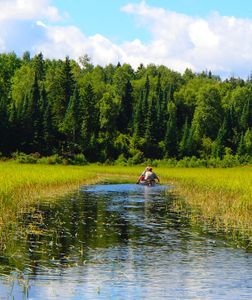 Moose river into Agnes