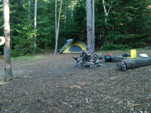 Campsite 335