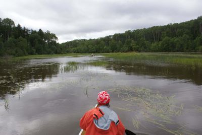 On the Loon River