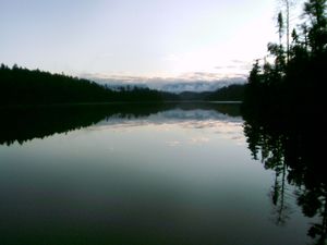 Evening on Ottertrack