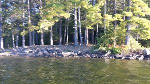 From the Water