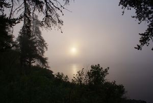 Foggy morning on Threemile Lake