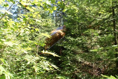 Carrying, Quetico River