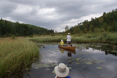 Finding our way, McAlpine Creek