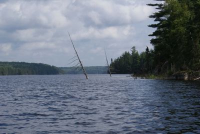 McAlpine Lake (beaver dammed)