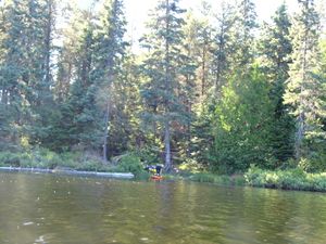 Northwest Island Campsite 906 landing on N. Temperance (NE side of island)