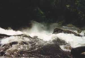 Looking Down Silver Falls