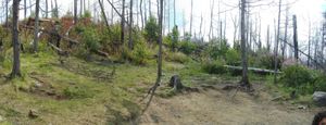 Campsite 1364