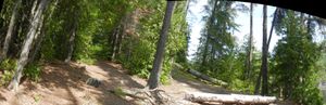 Campsite 1172