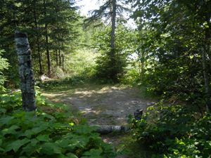 Campsite 1238