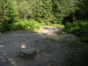 Campsite 1238