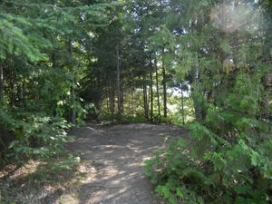 Campsite 1238