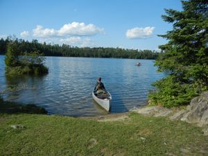 Campsite 1238