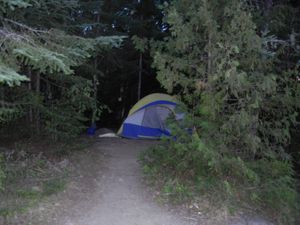 Campsite 1238