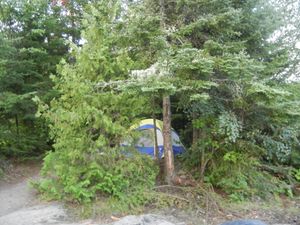 Campsite 1238
