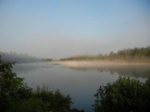 Birch Lake Morning Fog