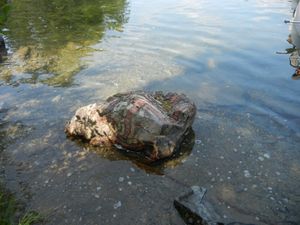 Bacon Rock